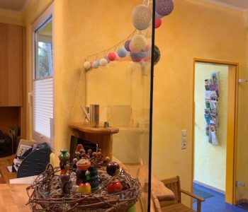 Gebogenes Einscheibensicherheitsglas 8 mm an die Biegung des Empfang-Tresens angepasst und mit Glasklemmhaltern befestigt.