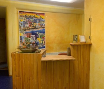 Gebogenes Einscheibensicherheitsglas 8 mm an die Biegung des Empfang-Tresens angepasst und mit Glasklemmhaltern befestigt.